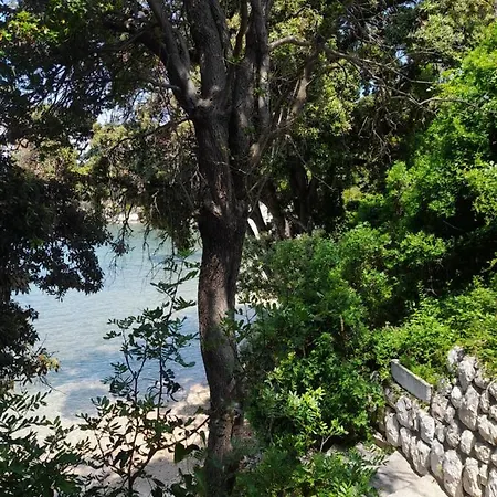 Leon Lägenhet Lopar