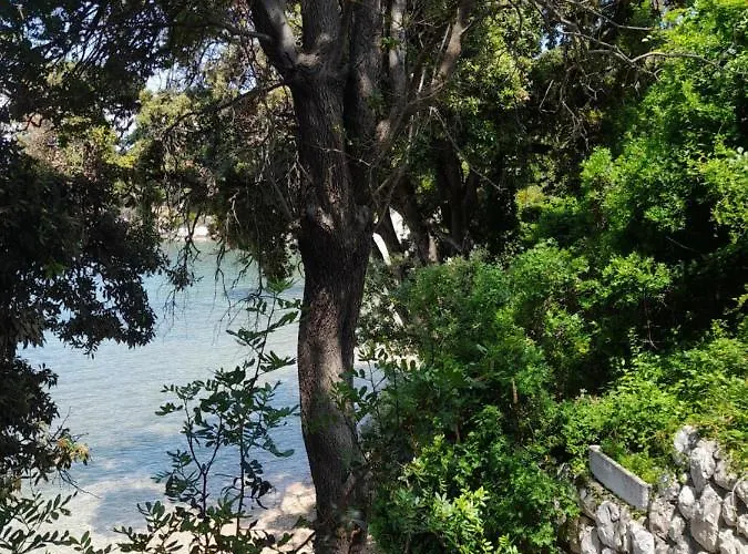 Leon Lejlighed Lopar